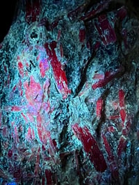 Image 13 of Kyanite in Quartz feldspar schist | Brazil #2686