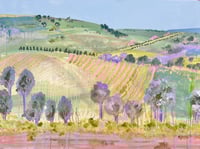 Image 2 of Gingham Vineyards, Barossa II 
