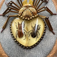 Image 2 of Specimen spider (c,  4x5 inches)
