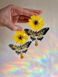 Image 3 of 🌼🦋Daisy Buckeye Butterflies🦋🌼