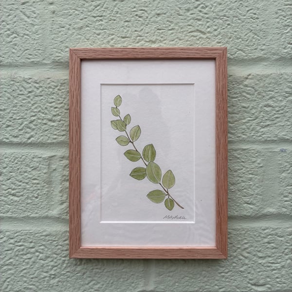 Image of £50 originals - Eucalyptus watercolour