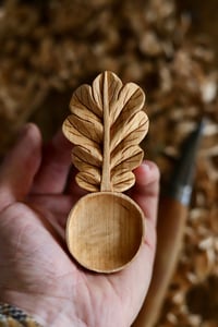 Image 1 of     Oak Leaf Scoop 