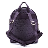 Image 8 of Backpack 🎒 & Wallet Set