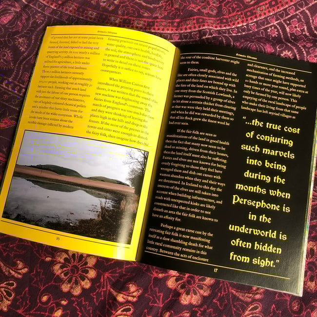 Grimoire Silvanus Zine Issue 6