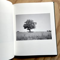 Image 4 of Morten Eriksen - Walks (Signed & Numbered)