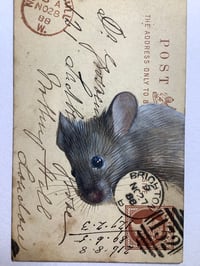 Image 2 of Mouse on Victorian postcard.
