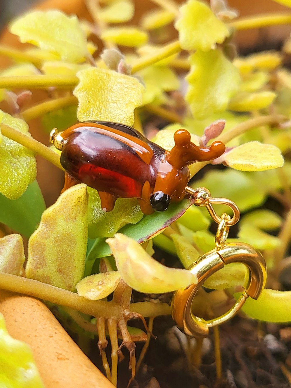 Image of Stag beetles