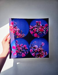 Image 3 of MOON LANDSCAPES CAMELIA II