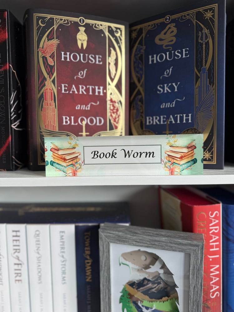 Image of Book Worm/ Book Dragon Library Shelf Sign