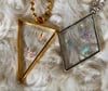 Gold or Silver CAPRICORN Frame 