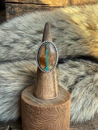 Image 1 of The River Trail