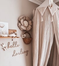 Image 19 of Cottontail