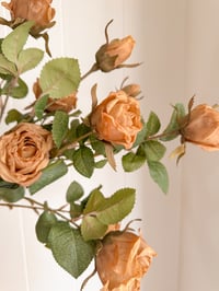 Image 5 of Autumn Rose Bouquets ( 4 Options )
