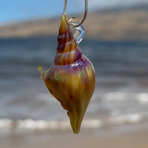 Image of Purple and White coral Bulb Shell