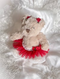 Image 1 of Christmas Eiri Bear