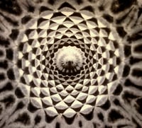 Image 3 of Mono black n grey mandala scrunch combo 