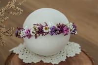 Newborn/Sitter Halo 20