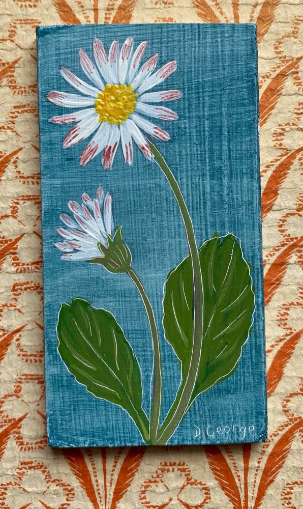 Image of Tiny Daisy 