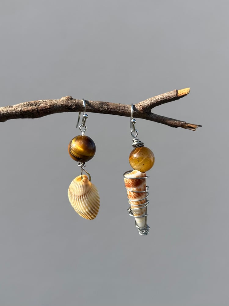 Image of ✧Tigers Eye Shell Earrings