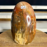 Image 1 of Petrified Wood Freeform (46A)