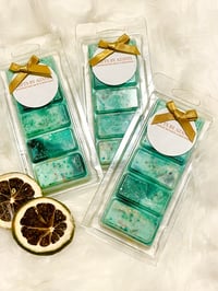 SELF & WELLNESS WAX MELT