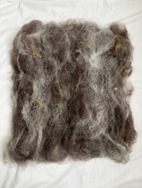 Image 3 of Neutrals Batt #2