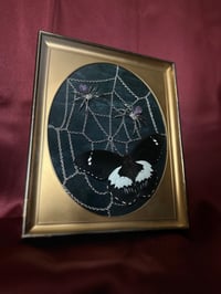 Image 1 of Forest Giant Web