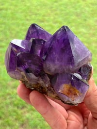 Image 1 of Amethyst Points Cluster | Congo #2869