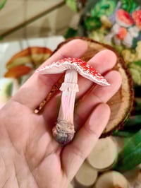 Image 10 of Grzybowe magnesy na lodówkę 