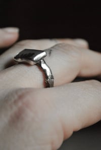 Image 5 of Foresta d’inverno