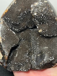 Image 14 of Septarian Nodule Polished Freeform | Madagascar #2897