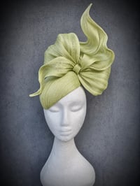 Image 1 of 'Bowie hugger' in Hill green