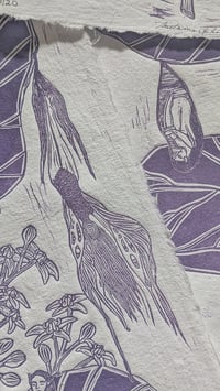 Image 2 of Metamorphosis