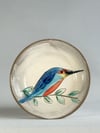 Kingfisher Saucer