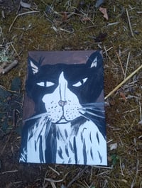 Image 2 of Tuxedo Cat 