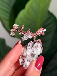 Image 2 of COPPER X MALACHITE STAINED QUARTZ -MOROCCO- A