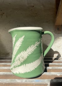 Image 2 of Large Jug - green ladder fern