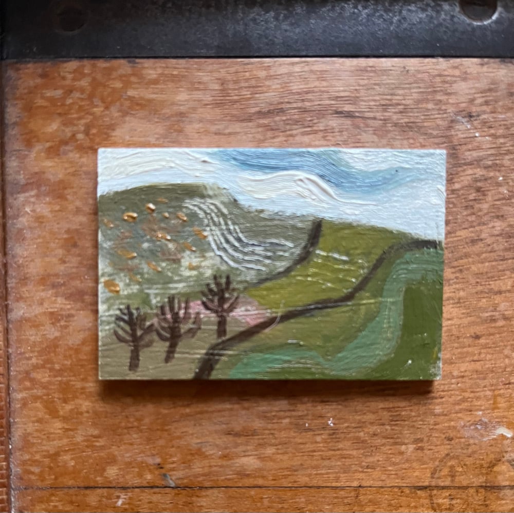 Image of Tiny landscape, swaledale. 
