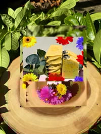 Image 2 of Lemon Poppyseed Bar Soap