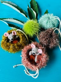 Image 2 of PETiTE CHÂTAiGNE