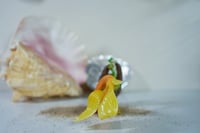 Image 3 of Sloth Mermaid 2026