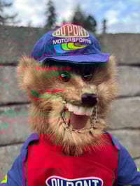 Image 2 of NASCAR Mink