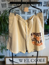 Image 1 of tan plus size shorts 