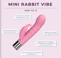 Mini Rabbit Vibe