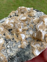 Image 2 of UV Cookie Calcite Specimen #1839