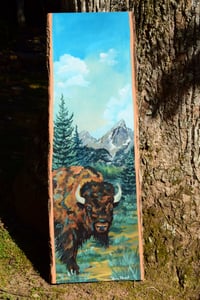 Image 5 of Bison in the Tetons