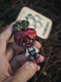 Image 2 of SPOOKY RADISH