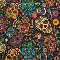 Image 1 of Abstract - Rainbow Sugar Skull