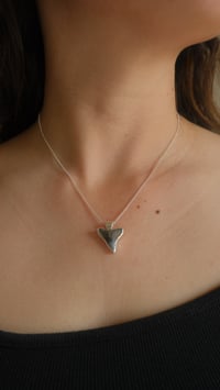 Image 2 of Shark tooth 