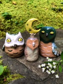 Teal Candle Owl